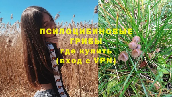 ECSTASY Алзамай