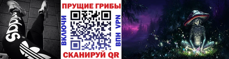 blacksprut ссылки Валдай Псилоцибиновые грибы Psilocybe наркошоп
